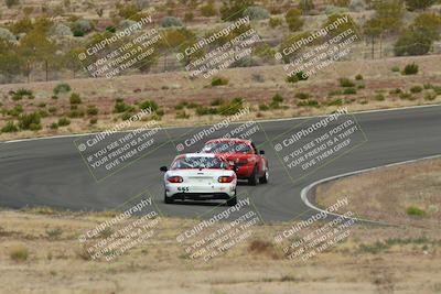 media/May-03-2025-Lucky Dog Racing (Sat) [[206de64b9d]]/Turn 2 (1020am-1120am)/